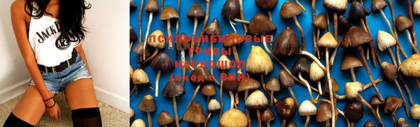 круглые Алзамай