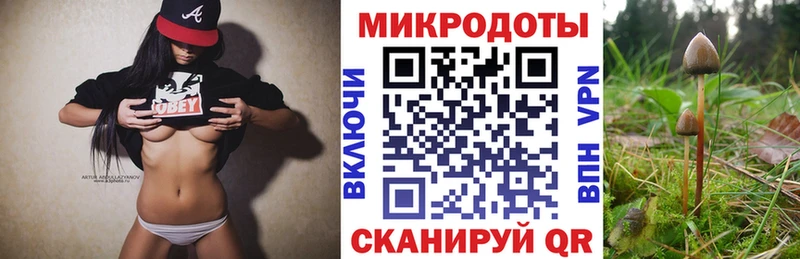 МЕГА ссылки  Еманжелинск  Псилоцибиновые грибы Psilocybe 